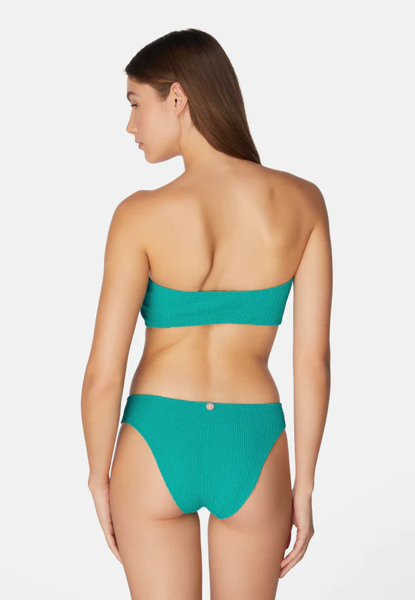 Bikini Lory Blue moon