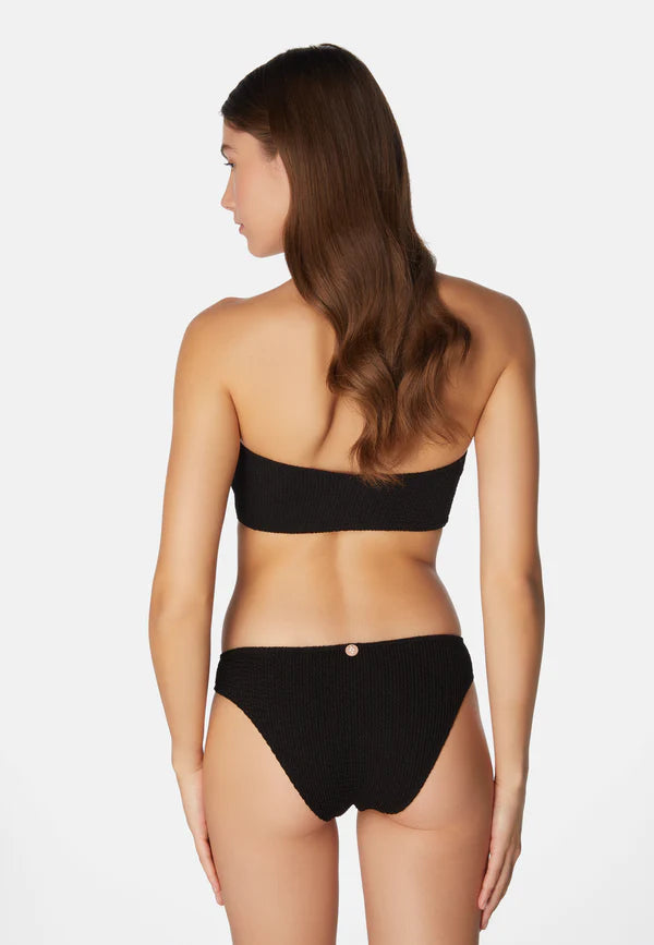 Bikini Lory Liquorice