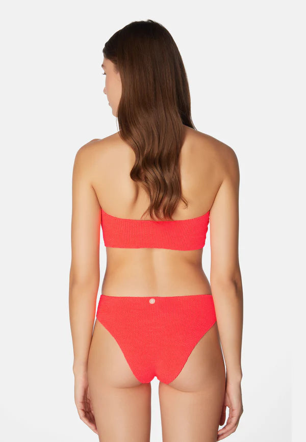 Bikini Lory Strawberry