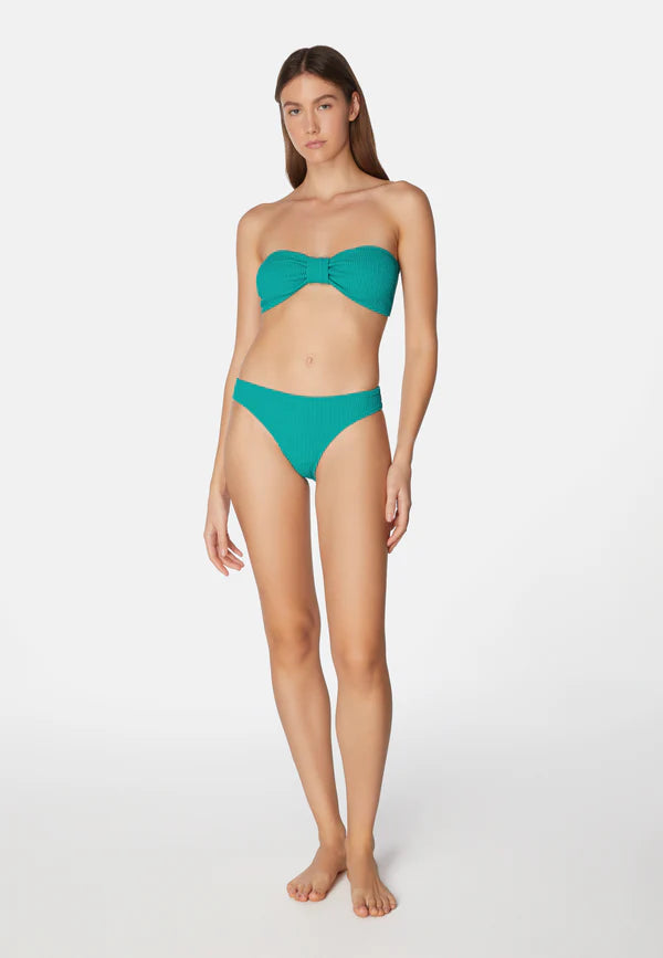 Bikini Lory Blue moon
