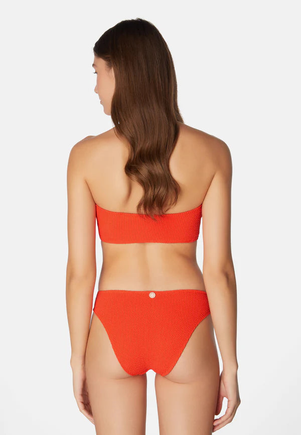 Bikini Lory Cranberry
