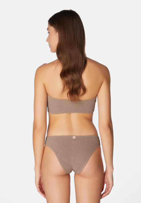 Bikini Lory Hazelnut
