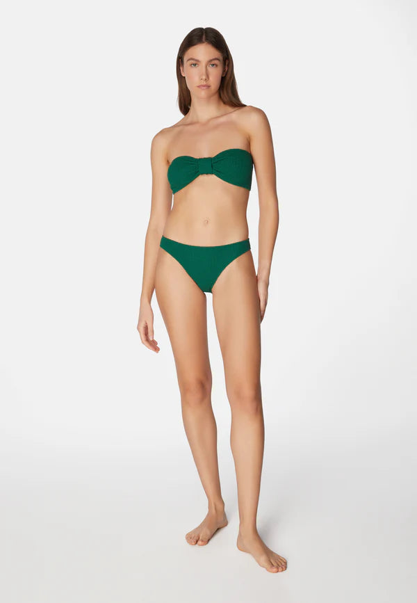 Bikini Lory Kiwi