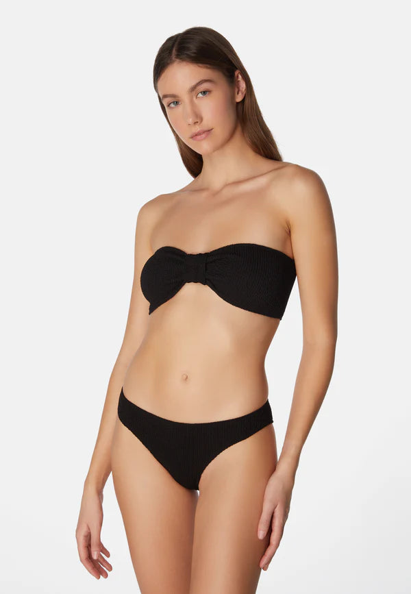 Bikini Lory Liquorice