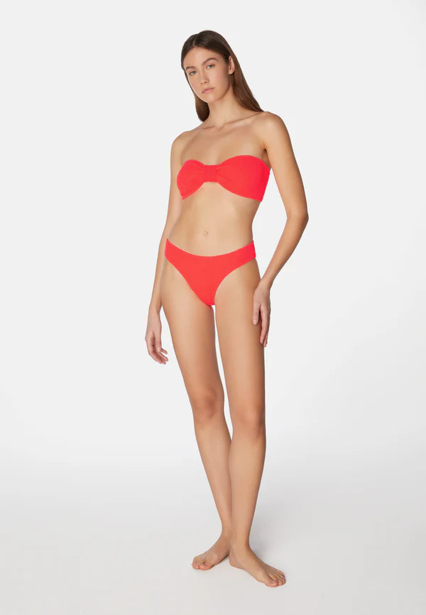 Bikini Lory Strawberry
